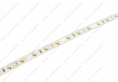 Лента 1006     SMD 3528-60WW IP22/цвет теплый  белый/-1м